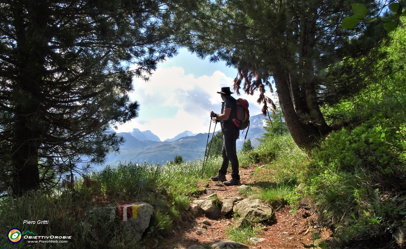 10 Usciti dalla salita e dal bosco, entriamo su  bell'altopiano panoramico su valle e  montagne.JPG -                                